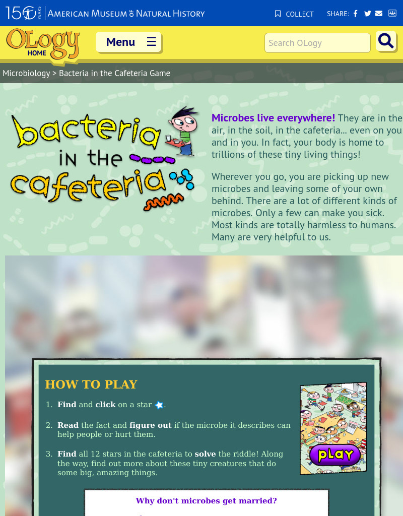 Bacteria in the Cafeteria Interactive
