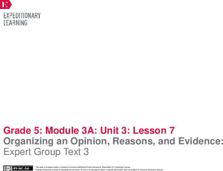 Organizing an Opinion, Reasons, and Evidence: Expert Group Text 3 Lesson Plan