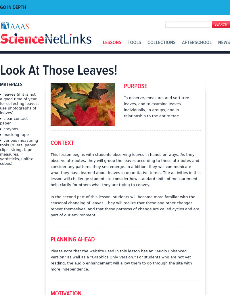 Look At Those Leaves! Lesson Plan