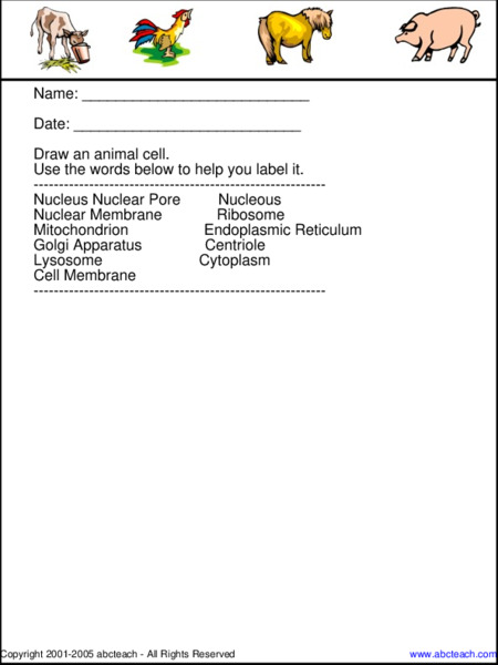 Animal Cell Diagram Lesson Plan