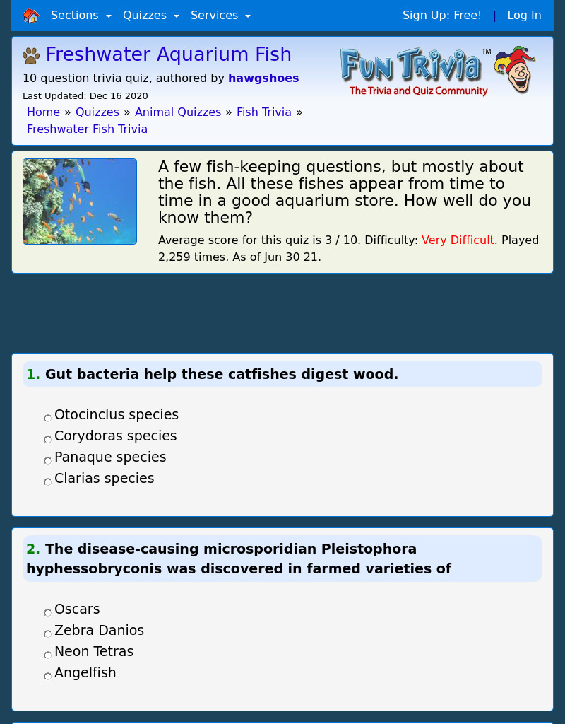 Freshwater Aquarium Fish Interactive