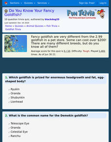 Fancy Goldfish Quiz Interactive