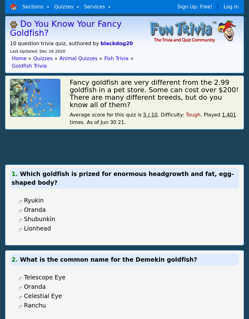 Fancy Goldfish Quiz Interactive