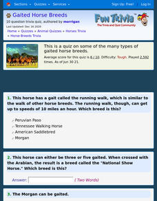 Gaited Horse Breeds Interactive