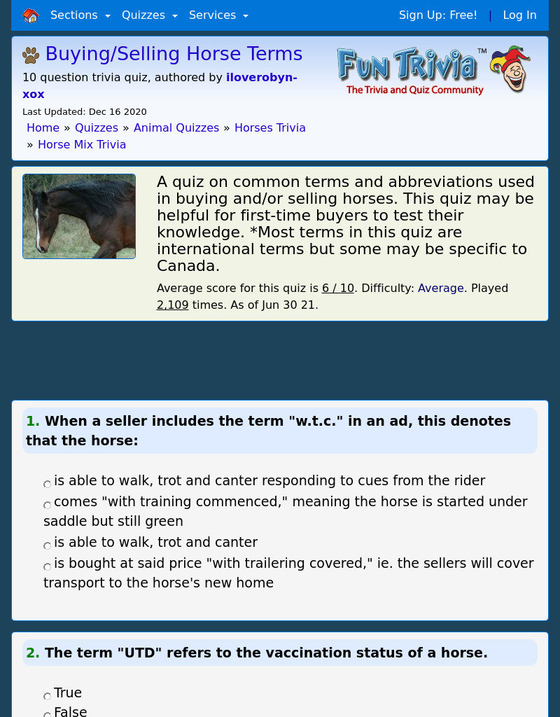 Buying and Selling Horses Terms Interactive