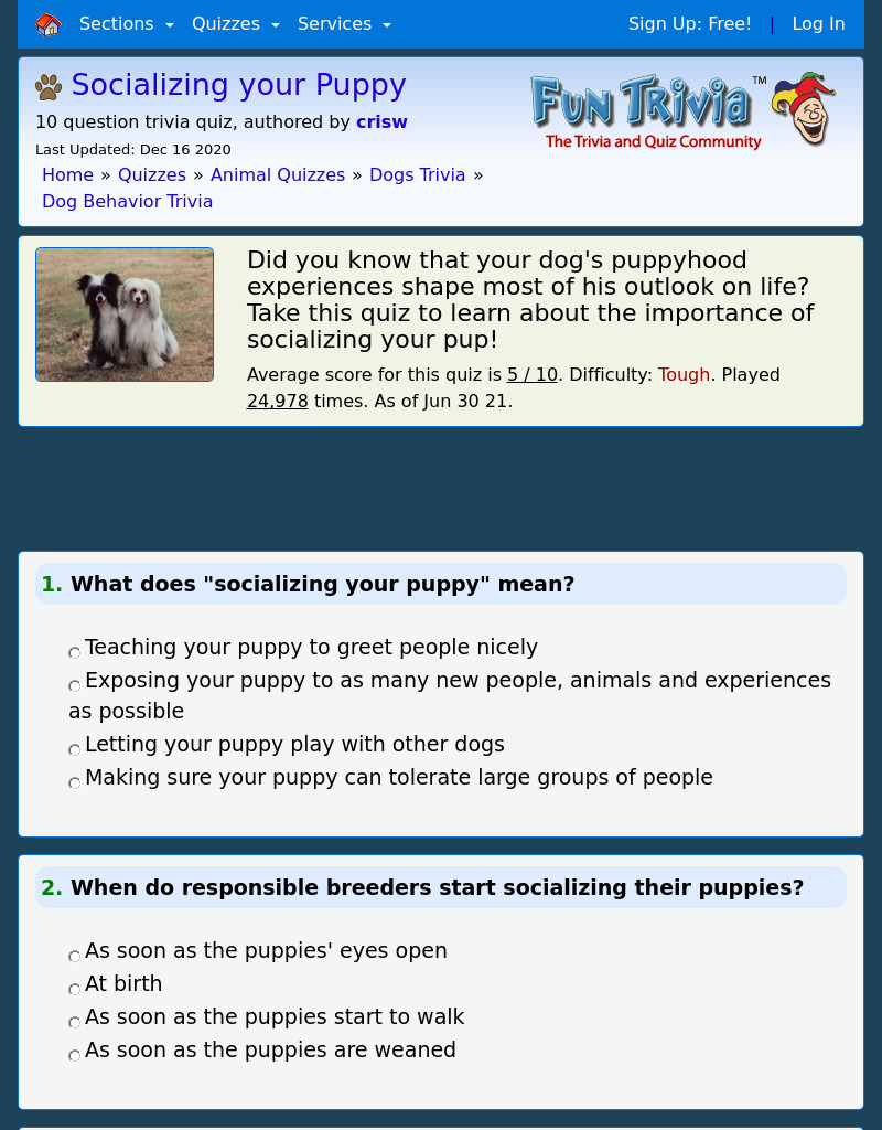 Socializing your Puppy Interactive