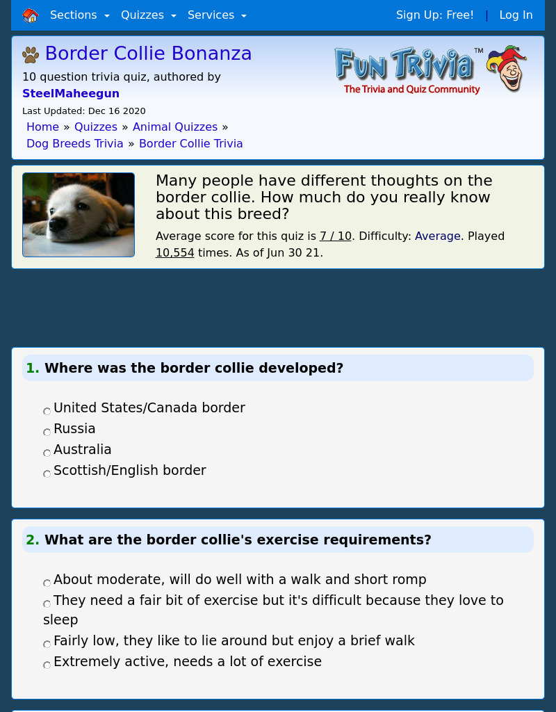 Border Collie Bonanza Interactive