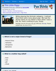 This Little Piggy-Pig Trivia Interactive