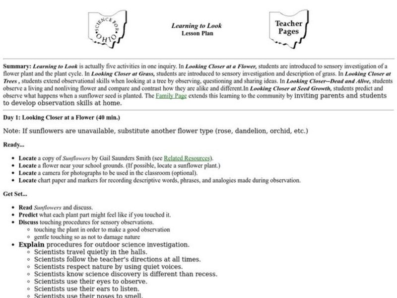 Learning To Look Lesson Plan