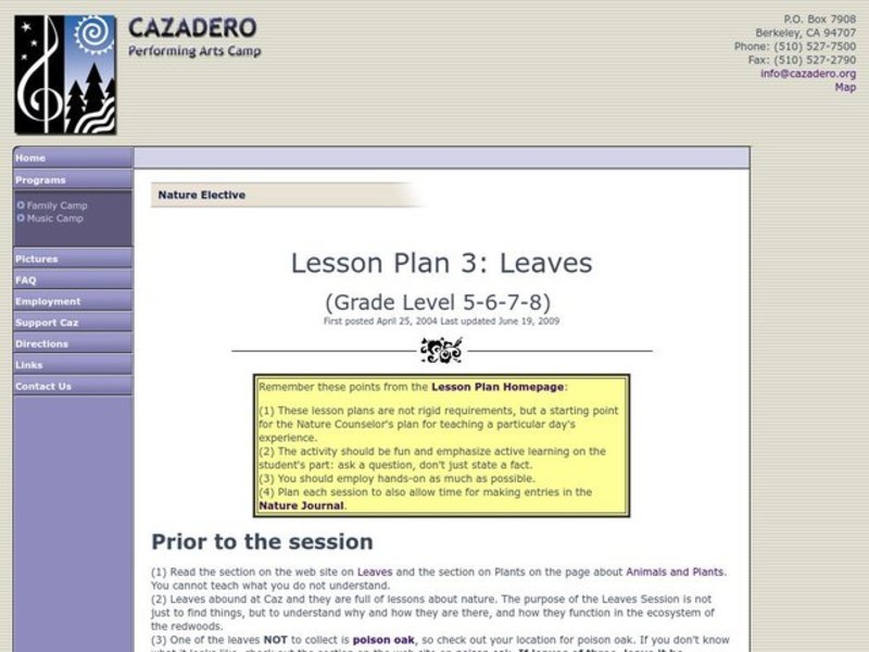Leaves Lesson Plan
