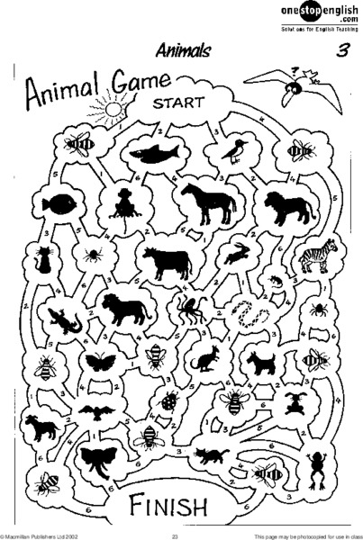 Animal Game Worksheet