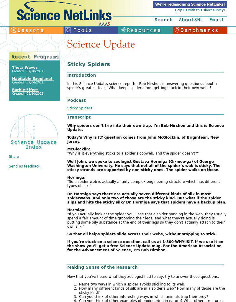 Sticky Spiders Lesson Plan