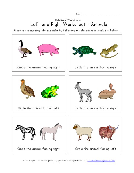 Left and Right Worksheet - Animals Worksheet