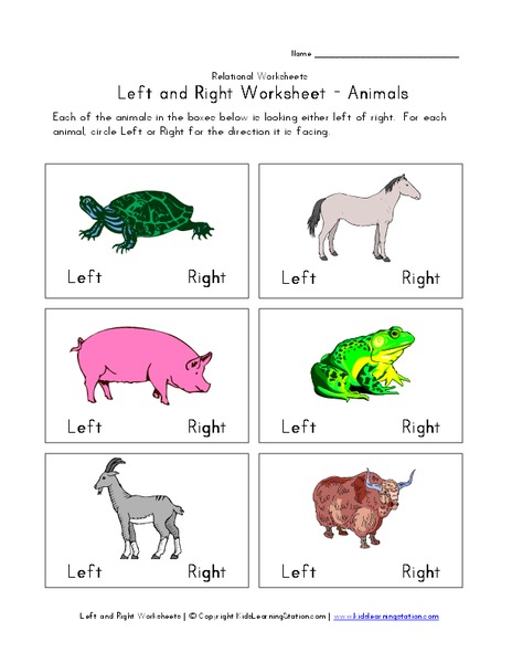 Left and Right Worksheet - Animals Worksheet