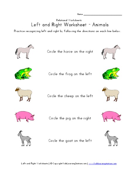 Left and Right Worksheet - Animals Worksheet