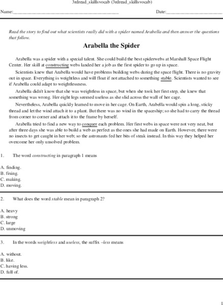 Reading Skills Practice-Grade Three Worksheet