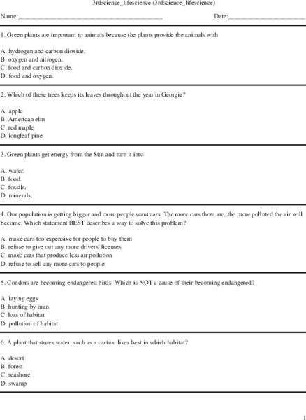 3rd grade life science Worksheet