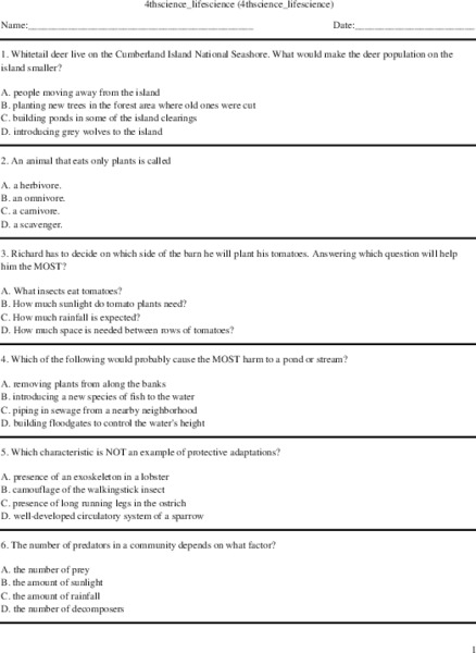 Life Science Review for Grade 4 Worksheet