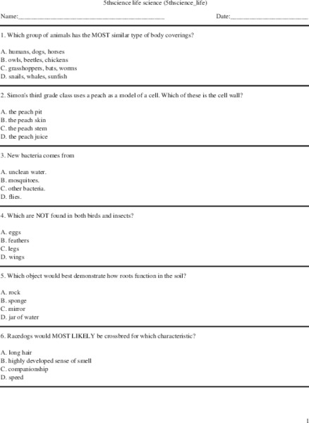 Fifth Grade Life Science Review/Quiz Worksheet