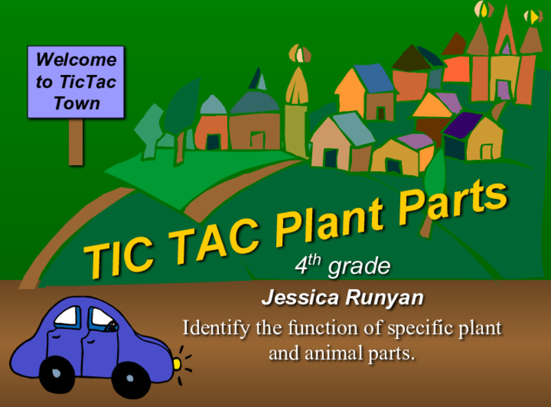 Tic Tac Plant Parts PPT