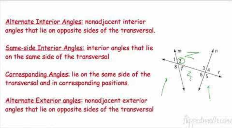 Lines and Angles Instructional Video