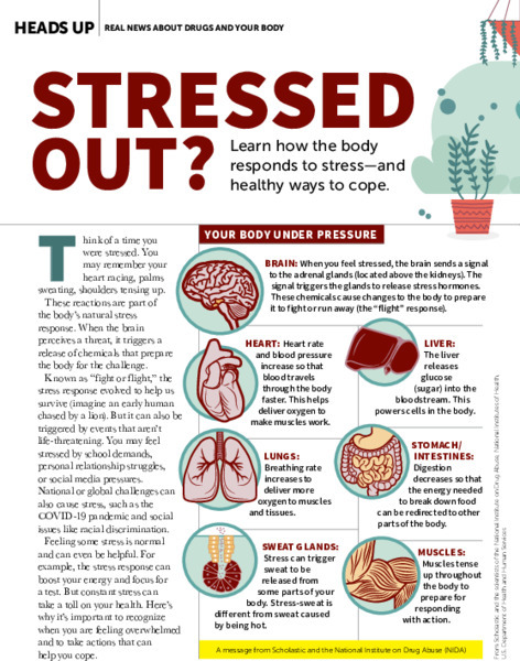 Stressed Out? Lesson Plan