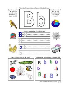 Letter B Lesson Plan