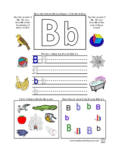 Letter B Lesson Plan