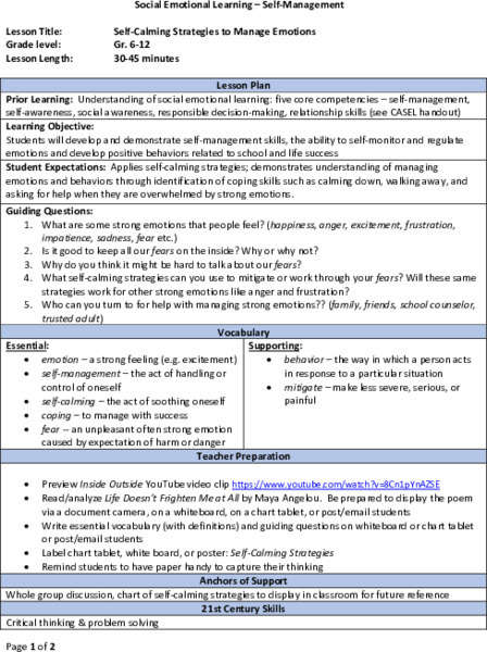 Self-Calming Strategies to Manage Emotions Lesson Plan