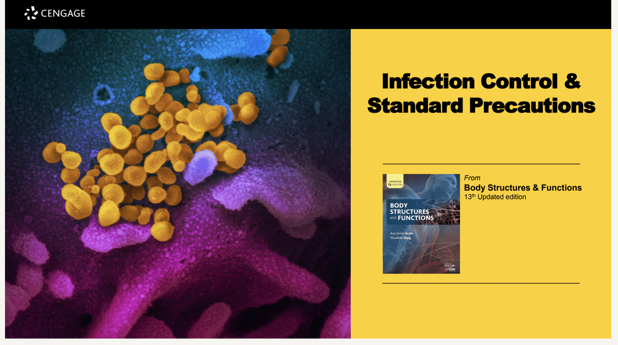 Infection Control and Standard Precautions PPT