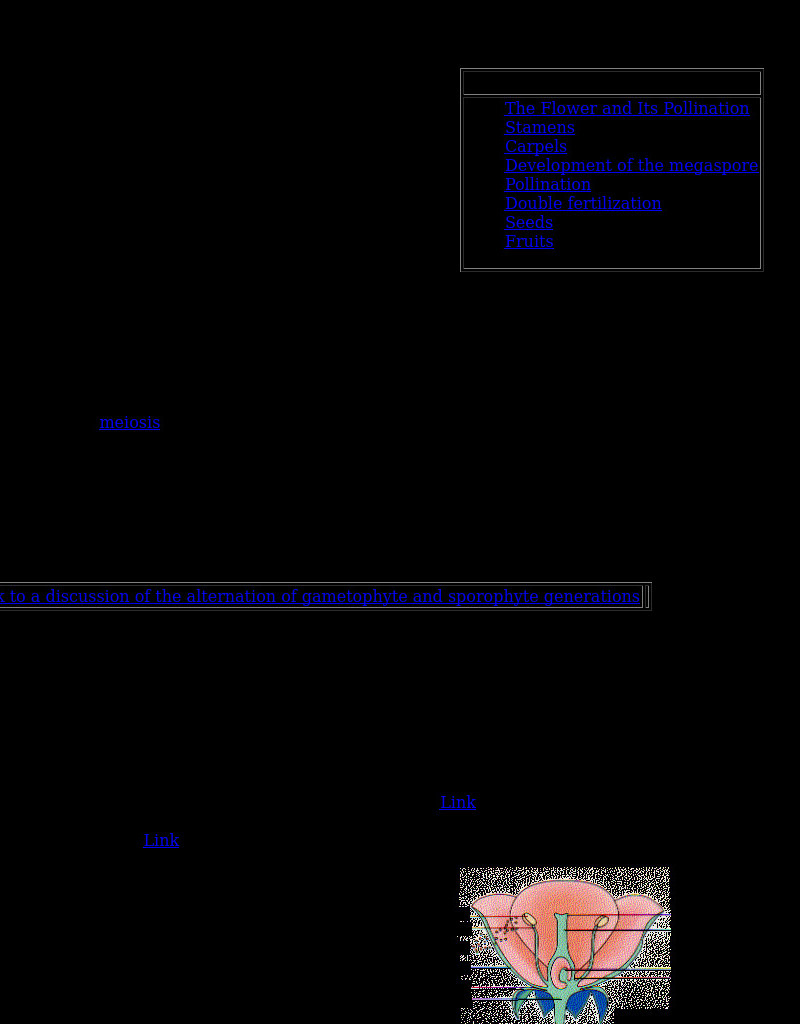 Kimball's Biology Pages: Sexual Reproduction in Angiosperms (Flowering Plants) eBook