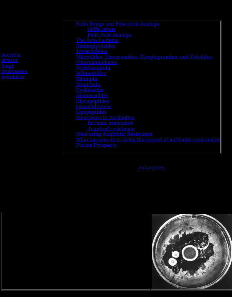 Kimball's Biology Pages: Antibacterial Agents eBook
