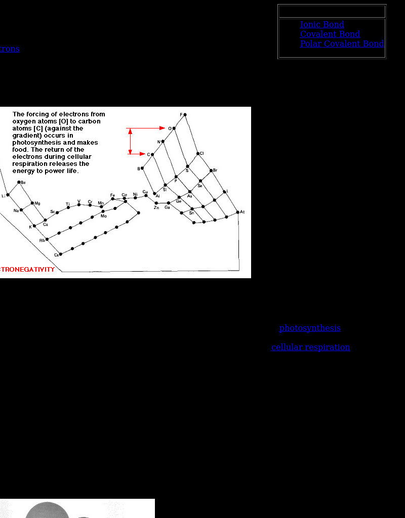 Kimball's Biology Pages: Electronegativity eBook