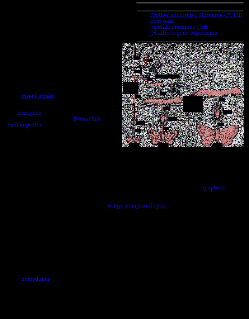 Kimball's Biology Pages: Insect Hormones eBook