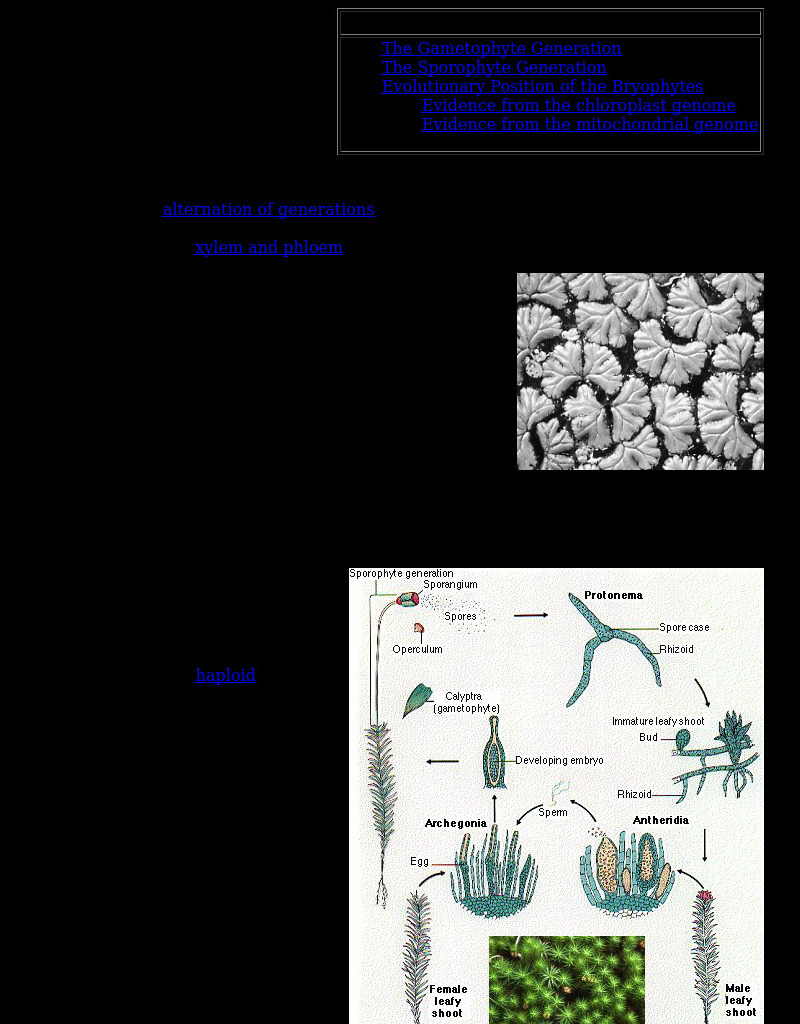 Kimball's Biology Pages: Mosses and Liverworts eBook