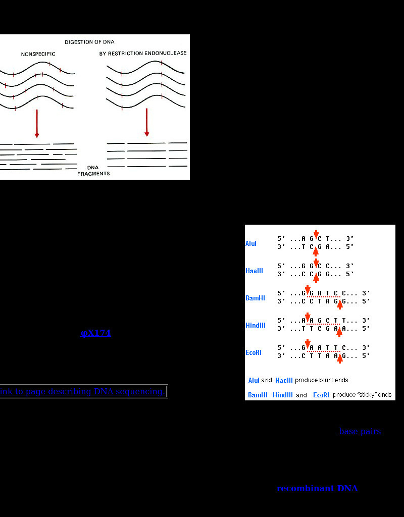 Kimball's Biology Pages: Restriction Enzymes eBook