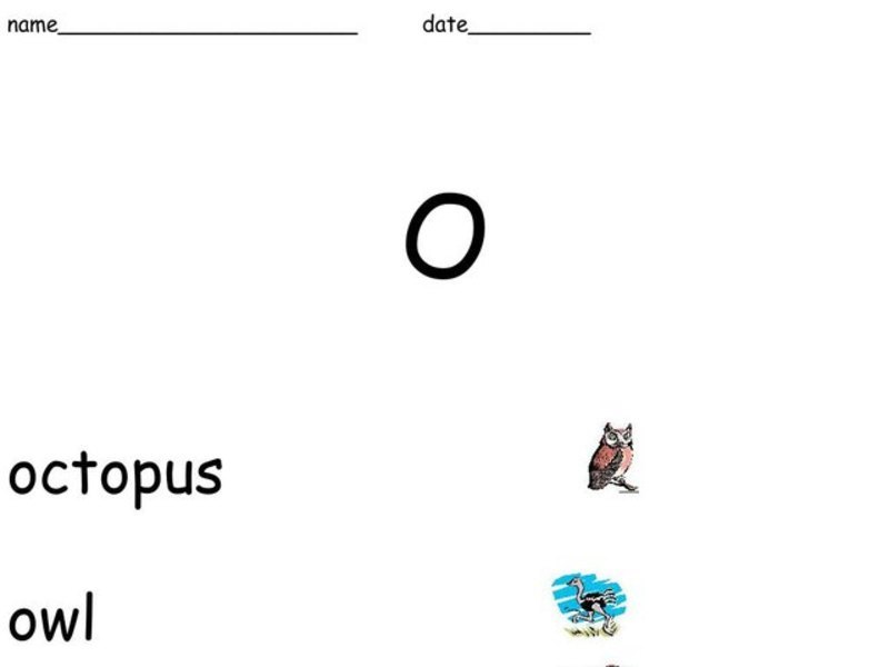 Letter O Worksheet