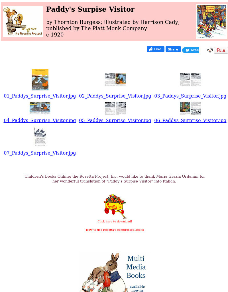 Children's Books Online: Paddy's Surpise Visitor eBook