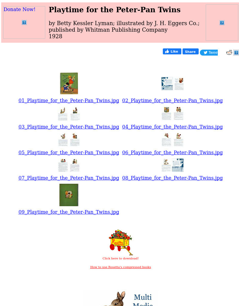 Children's Books Online: Playtime for the Peter Pan Twins eBook