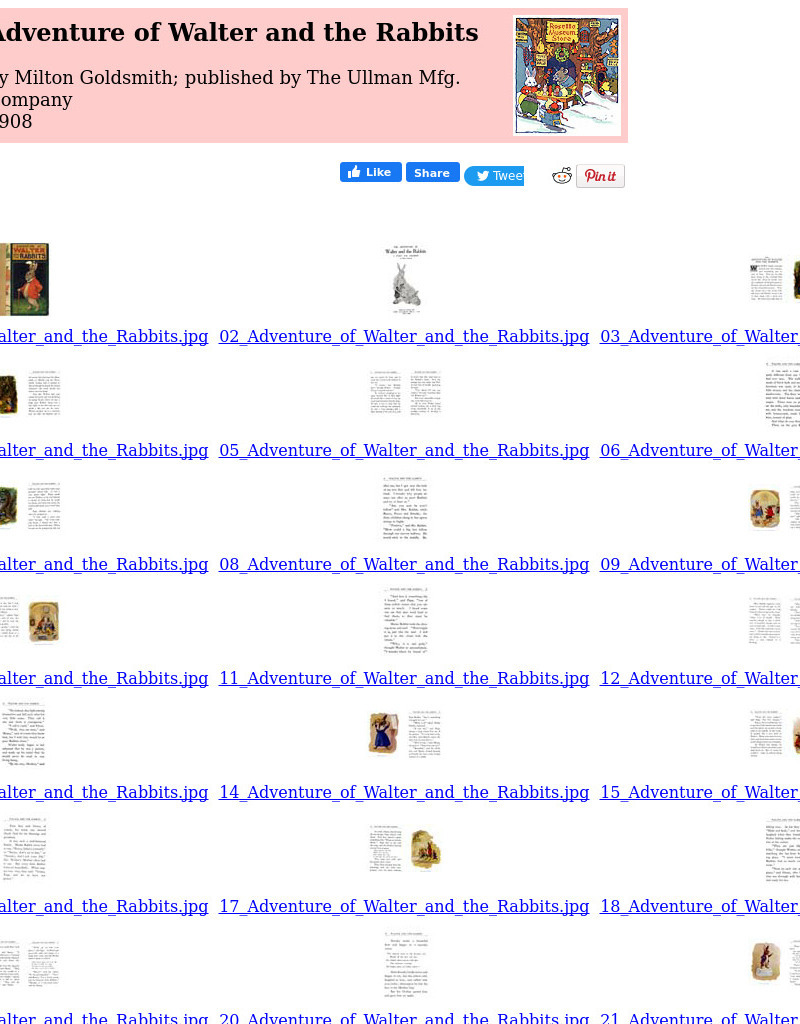 Children's Books Online: Adventure of Walter and the Rabbits eBook