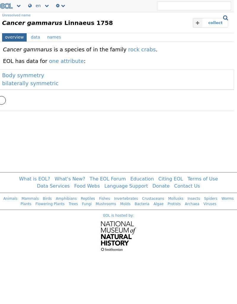 Encyclopedia of Life: Common Lobster Handout