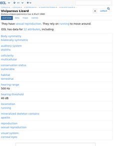 Encyclopedia of Life: Viviparous Lizard Handout