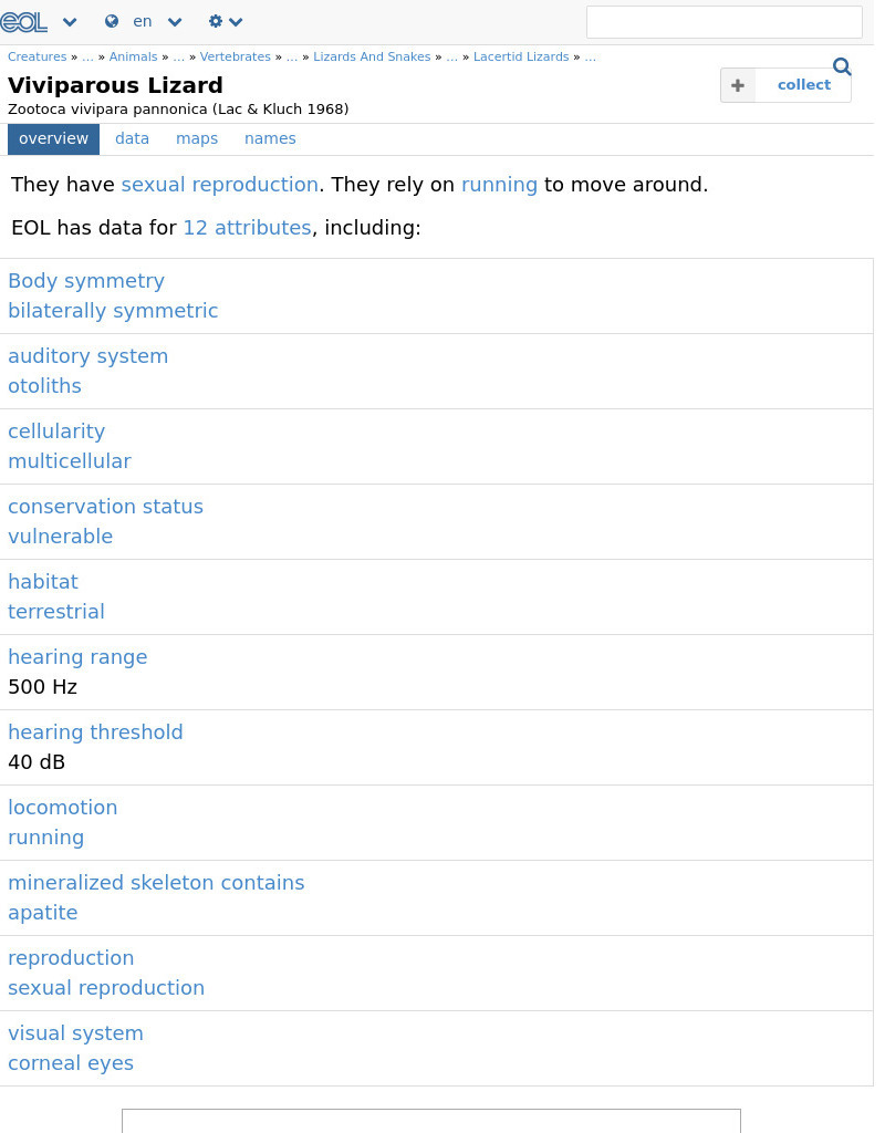 Encyclopedia of Life: Viviparous Lizard Handout