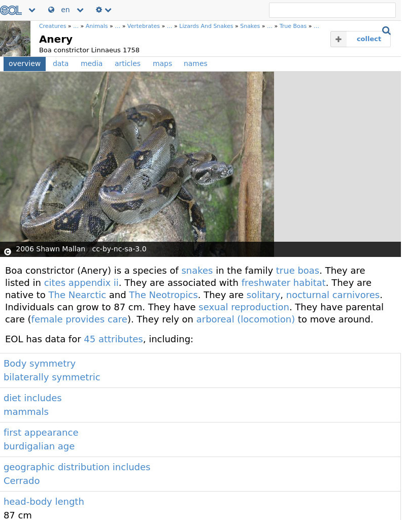 Encyclopedia of Life: Boa Constrictor Handout