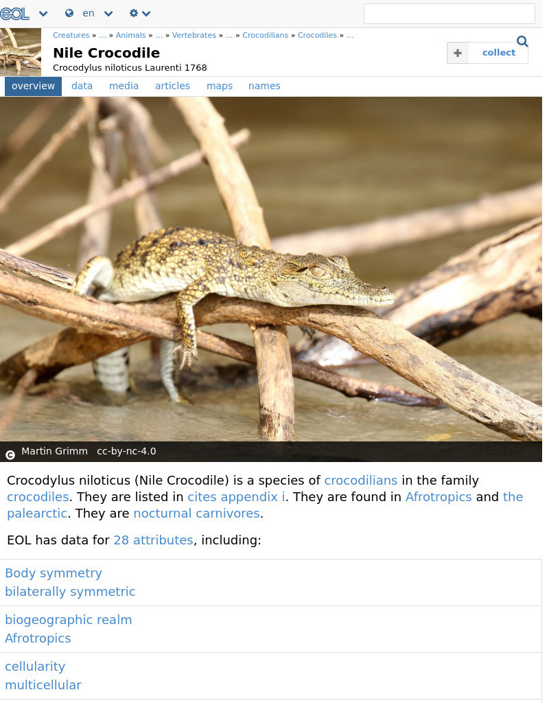 Encyclopedia of Life: Nile Crocodile Handout