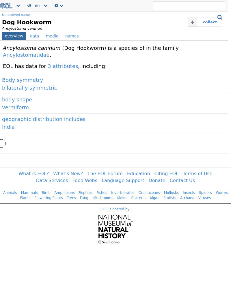 Encyclopedia of Life: Dog Hookworm Handout