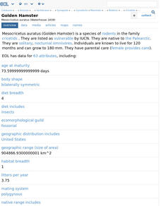 Encyclopedia of Life: Golden Hamster Handout