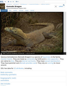 Encyclopedia of Life: Komodo Dragon Handout