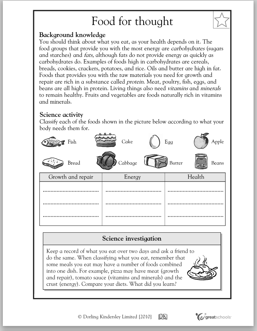 Food for thought Worksheet