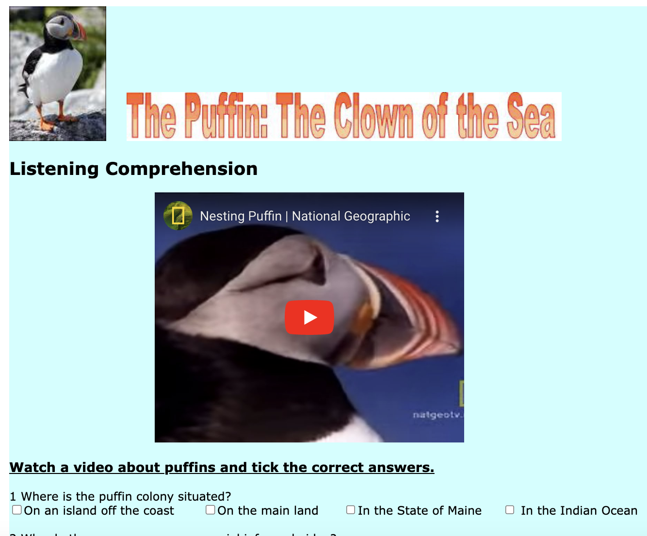 The Puffin: The Clown of the Sea Interactive
